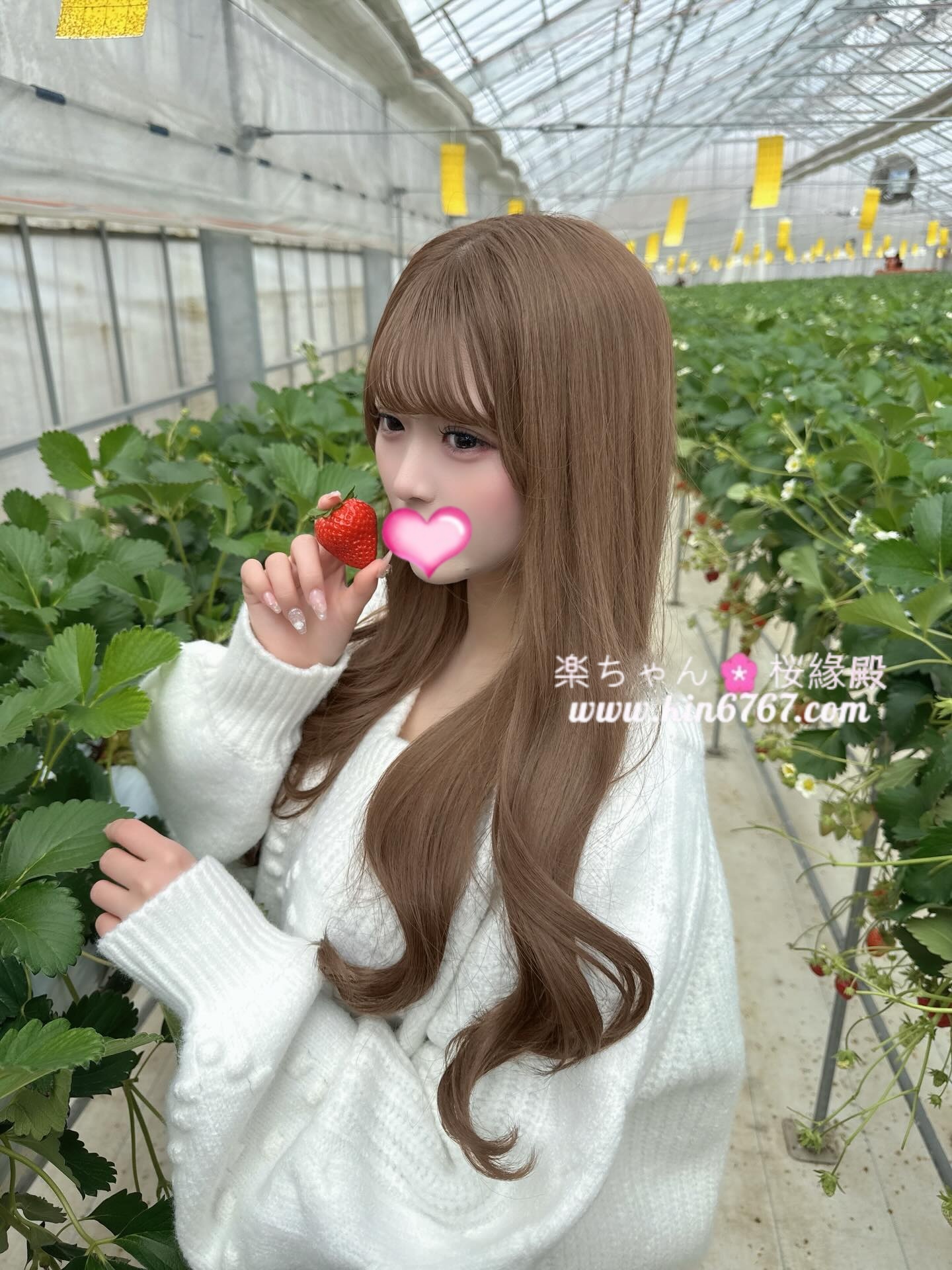 w (1)_副本.jpg